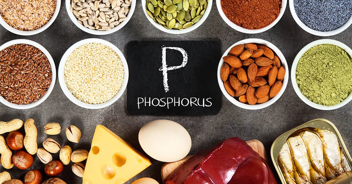 Different food sources of phosphorus