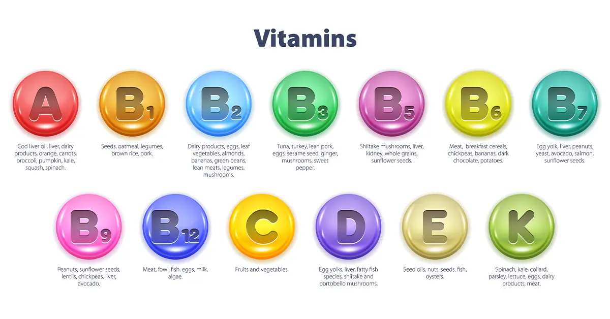 Vitamins A, B1. B2, B3, B5, B6, B7, B9, B12, C, D, E, K