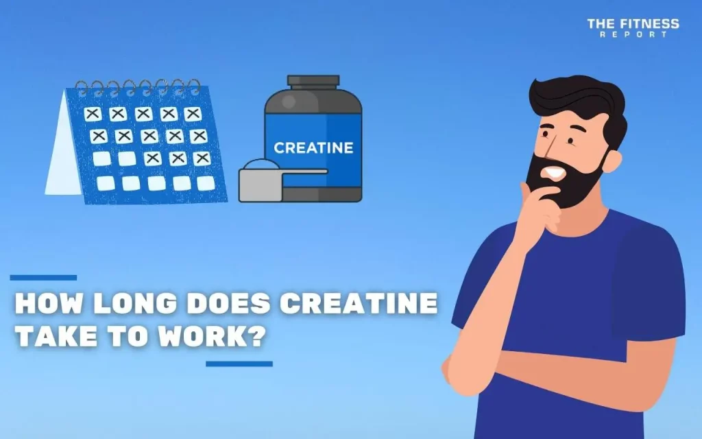 How Long Does Creatine Take To Work?