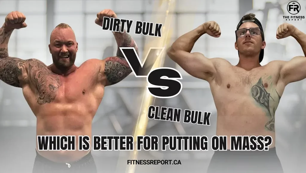 dirty bulk vs clean bulk